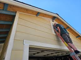 Best Historical Building Siding Restoration  in , MN